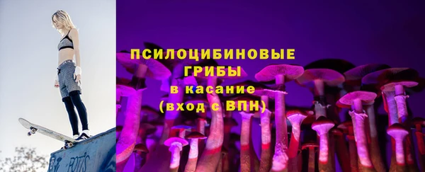 ГАЛЛЮЦИНОГЕННЫЕ ГРИБЫ Аркадак