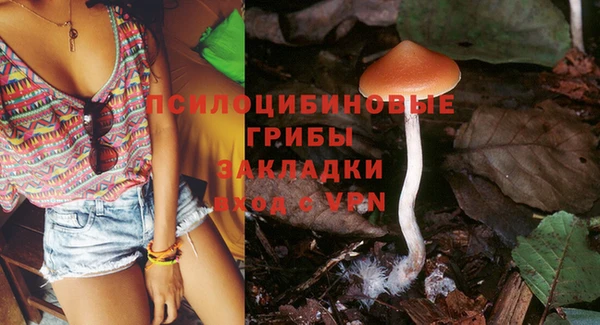 ГАЛЛЮЦИНОГЕННЫЕ ГРИБЫ Аркадак