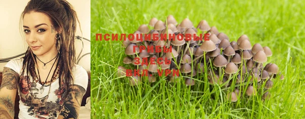 экстази Арсеньев