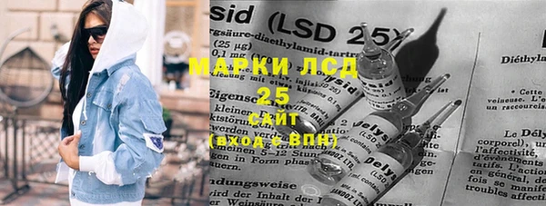 ГАЛЛЮЦИНОГЕННЫЕ ГРИБЫ Аркадак