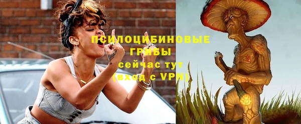 экстази Арсеньев